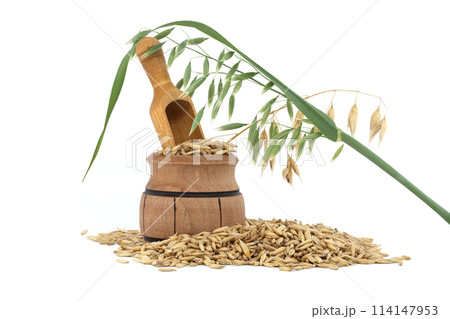 Organic whole oat grain seeds isolated on white 114147953