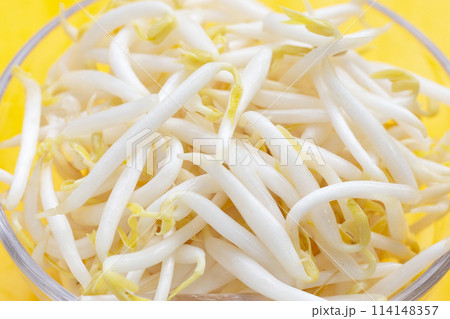 Bean sprouts on yellow background 114148357