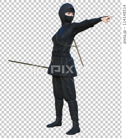 忍者☆Ninja 114148514