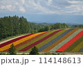 北海道 景色 風景 114148613