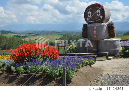 北海道 景色 風景 114148614
