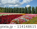 北海道 富良野 ファーム富田 114148615