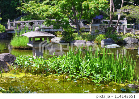 西新井大師　美しい境内の風景（東京都足立区） 114148651
