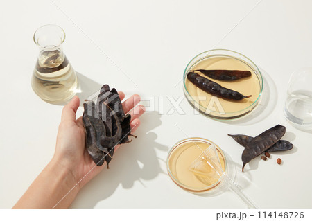 Top view photo with hand is holding some locust fruit put on a white table next to other utensils of cosmetic preparation. Template for designing or advertising Top view photo with hand is holding some locust fruit put on a white table next to other utensils of cosmetic preparation. Template for designing or advertising 114148726