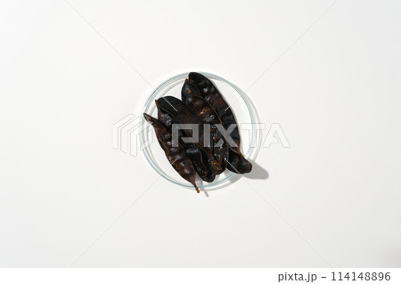 A transparent podium contains honey locust pods placed isolated in center on white background, top view photography with blank space for adding text or elements of design A transparent podium contains honey locust pods placed isolated in center on white background, top view photography with blank space for adding text or elements of design 114148896