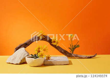 Against orange background, fresh calendula flowers decorated with block of bricks and dry twig. Background for advertising cosmetic of calendula extract, front view Against orange background, fresh calendula flowers decorated with block of bricks and dry twig. Background for advertising cosmetic of calendula extract, front view 114149374