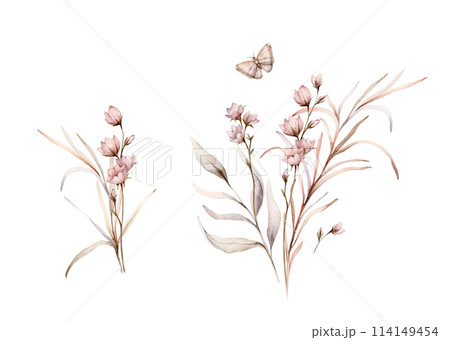 Set of watercolor botanical autumn illustration branches and light pink flowers. Autumn floral illustration and butterfly. Fall vibes. Hand painted drawing isolated on background. herds pastel color 114149454