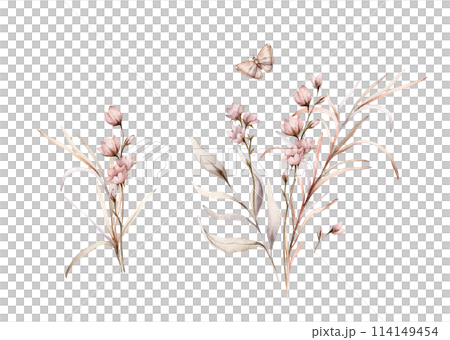Set of watercolor botanical autumn illustration branches and light pink flowers. Autumn floral illustration and butterfly. Fall vibes. Hand painted drawing isolated on background. herds pastel color 114149454