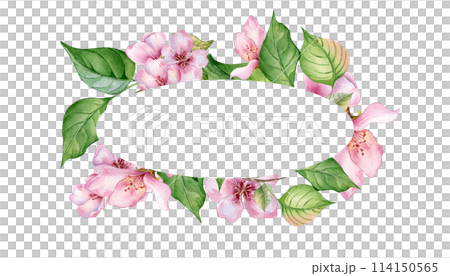 Watercolor wreath with pink white flowers isolated on white. Design template of floral frame with pink blooming branch hand drawn. Element for wedding invitation, card, packaging, label product 114150565