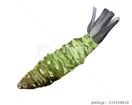 わさび(1本) わさび(1本) 114150610