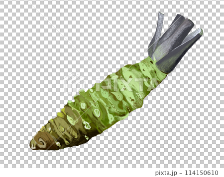 わさび(1本) わさび(1本) 114150610