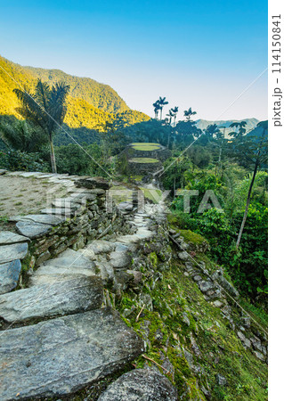 Ciudad Perdida, ancient ruins in Sierra Nevada mountains. Santa Marta, Colombia wilderness 114150841