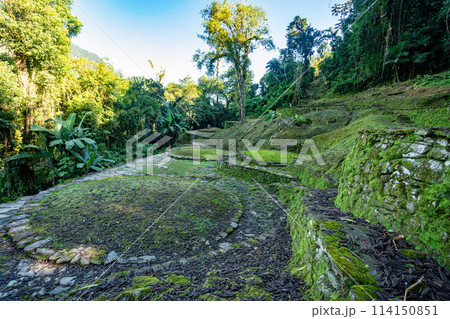 Ciudad Perdida, ancient ruins in Sierra Nevada mountains. Santa Marta, Colombia wilderness Ciudad Perdida, ancient ruins in Sierra Nevada mountains. Santa Marta, Colombia wilderness 114150851