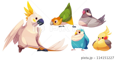 Cute funny parrot characters cartoon set. Cute funny parrot characters cartoon set. 114151227