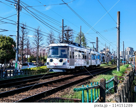 東急世田谷線｜幸福の招き猫電車 114151289