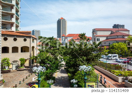 花のみち 花のみち 114151409