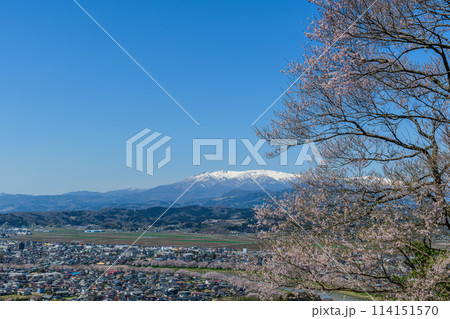 桜 船岡城址公園から一目千本桜を歩く 114151570