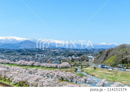 桜 船岡城址公園から一目千本桜を歩く 桜 船岡城址公園から一目千本桜を歩く 114151574