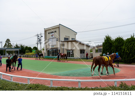 曇り空の地方競馬場イメージ｜金沢競馬場｜石川県金沢市 114151611