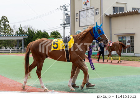曇り空の地方競馬場イメージ|金沢競馬場|石川県金沢市 曇り空の地方競馬場イメージ|金沢競馬場|石川県金沢市 114151612