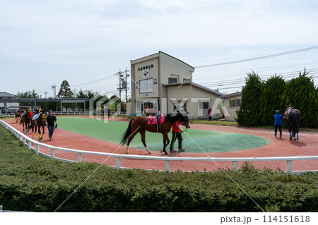 曇り空の地方競馬場イメージ｜金沢競馬場｜石川県金沢市 114151618