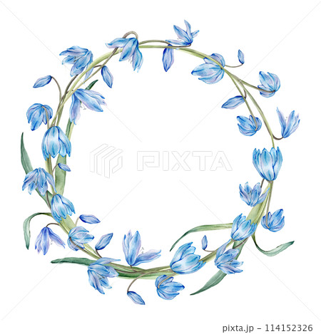 Watercolor spring floral illustration. Flower wreath with blue snowdrops or scillas isolated on white background. Handmade flowers for wedding anniversary invitations ahd postcards. Pastel colours. Watercolor spring floral illustration. Flower wreath with blue snowdrops or scillas isolated on white background. Handmade flowers for wedding anniversary invitations ahd postcards. Pastel colours. 114152326