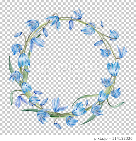Watercolor spring floral illustration. Flower wreath with blue snowdrops or scillas isolated on white background. Handmade flowers for wedding anniversary invitations ahd postcards. Pastel colours. Watercolor spring floral illustration. Flower wreath with blue snowdrops or scillas isolated on white background. Handmade flowers for wedding anniversary invitations ahd postcards. Pastel colours. 114152326