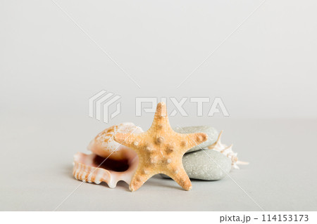 Summer time concept with sea shells or starfish on a table background with copy space for text Summer time concept with sea shells or starfish on a table background with copy space for text 114153173