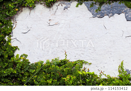 white concrete wall texture. background 114153412