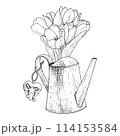Watering can tulip flower vector illustration. Heart decoration metal. Curved gardening decoration bouquet. Black outline graphic drawing. Line contour silhouette outline. Tool star bells rope jute  114153584