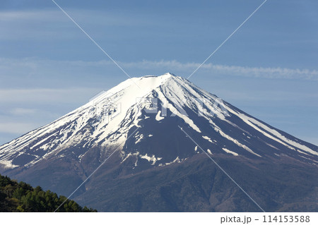 富士山の農鶏 114153588