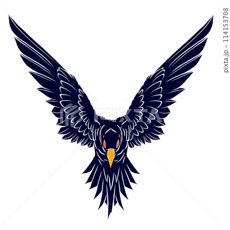 Illustration of flying angry devil red eye bird on transparent background 114153708