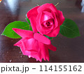 テーブルに飾った赤いバラ 114155162