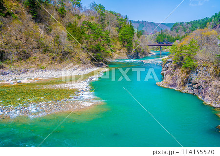 春の白川郷庄川 114155520