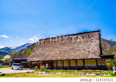 春の白川郷と桜 114155521