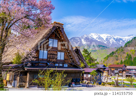 春の白川郷と桜 114155750