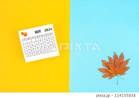 Top view of a May 2024 calendar and autumn foliage on a yellow and blue background. Empty space provided for text. 114155838