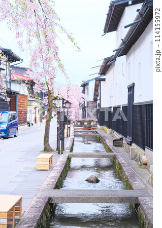 飛騨古川、瀬戸川と桜の白壁土蔵街 飛騨古川、瀬戸川と桜の白壁土蔵街 114155972
