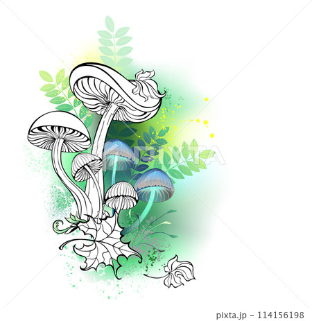 Outline mushrooms on forest background 114156198