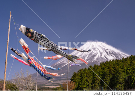 《静岡県》富士山と鯉のぼり・こどもの日 114156457