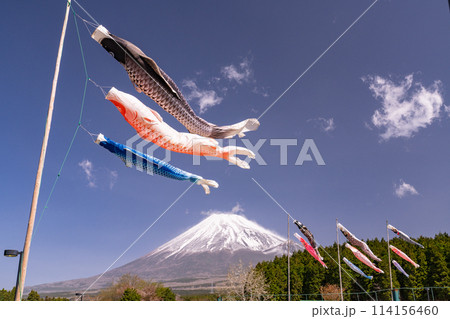 《静岡県》富士山と鯉のぼり・こどもの日 114156460