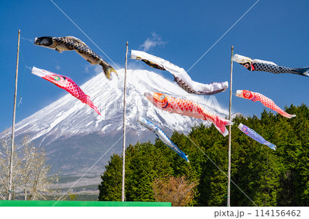 《静岡県》富士山と鯉のぼり・こどもの日 114156462