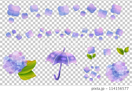 Hydrangea with sunlight filtering through the trees - Parts set 114156577