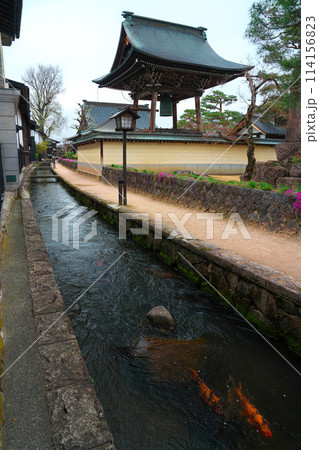 飛騨古川、瀬戸川の鯉と白壁土蔵街 飛騨古川、瀬戸川の鯉と白壁土蔵街 114156823
