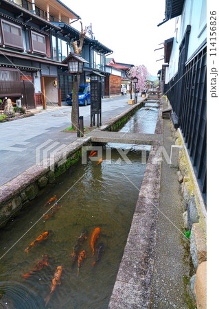 飛騨古川、瀬戸川の鯉と白壁土蔵街 飛騨古川、瀬戸川の鯉と白壁土蔵街 114156826