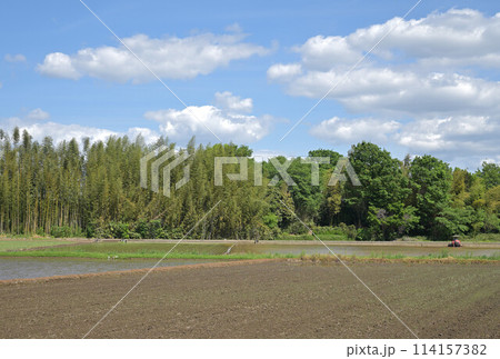 田植えの季節、関東の田園地帯(茨城県五霞町) 田植えの季節、関東の田園地帯(茨城県五霞町) 114157382