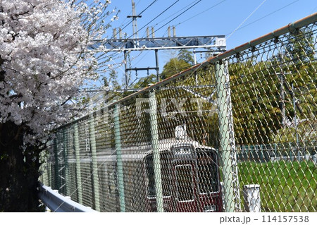 桜の下を走る電車 桜の下を走る電車 114157538