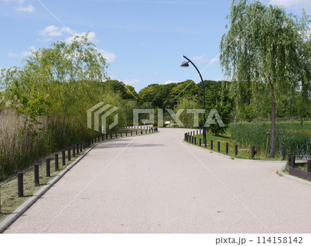 舎人公園の冒険の丘付近の景色 舎人公園の冒険の丘付近の景色 114158142