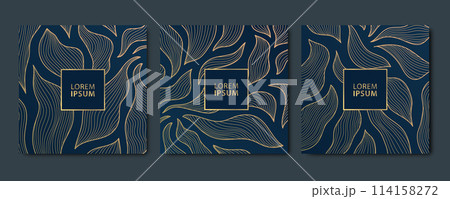Vector set of art deco floral pattern, line labels frames, plant vintage ornament. Organic luxury borders, nature labels, blossom covers. Golden on blue. 114158272