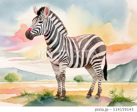 水彩画のシマウマのイラストのイラスト素材 [114159143] - PIXTA